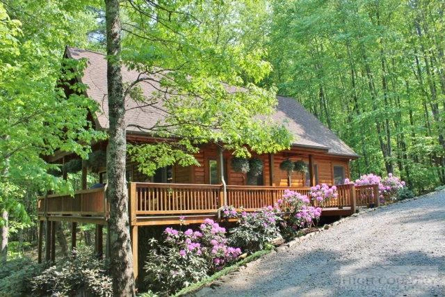 Image number 1 for the current listing
