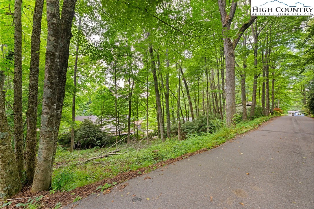 Image number 1 for the current listing