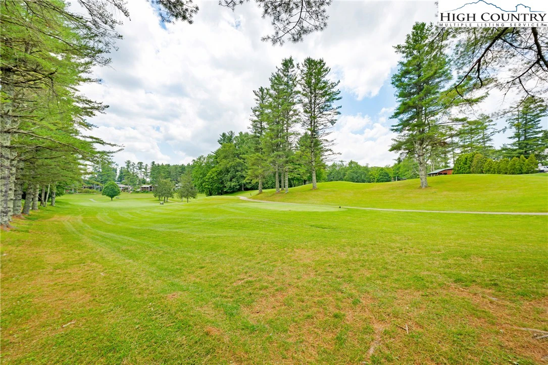 Image number 11 for the current listing