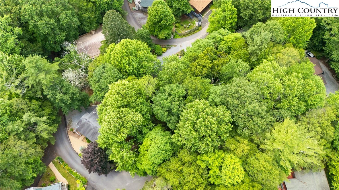Image number 5 for the current listing