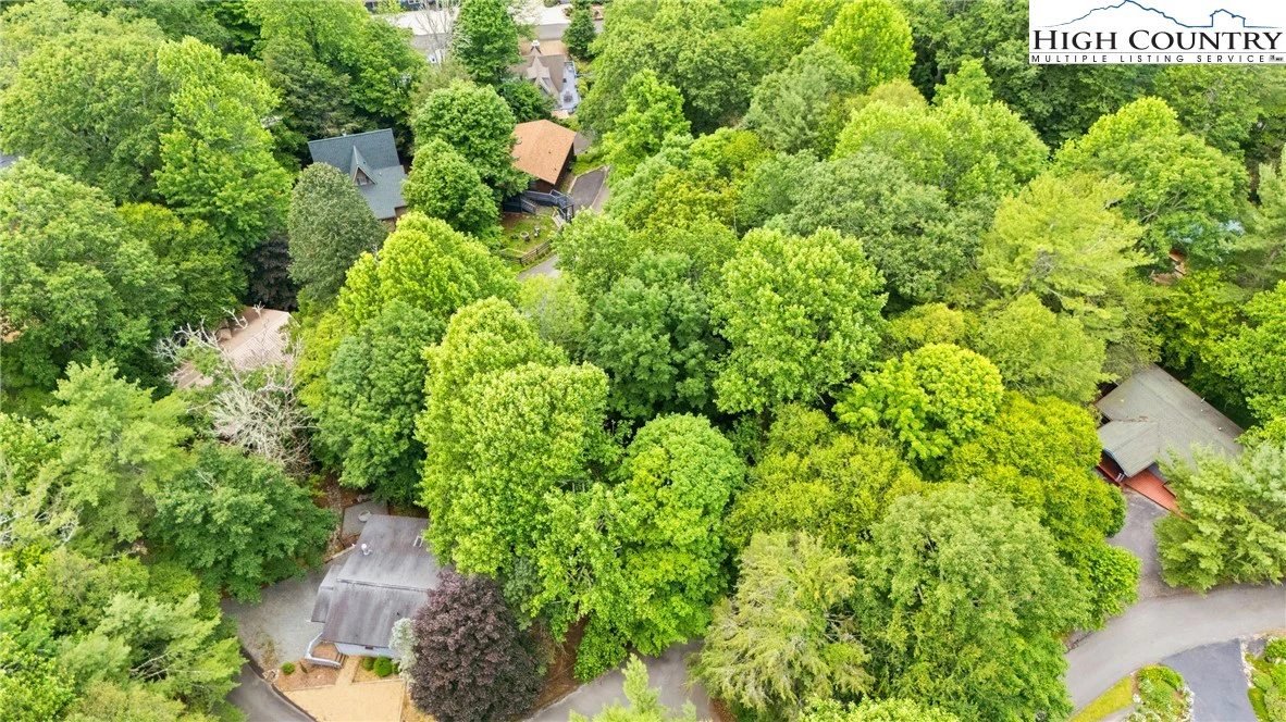 Image number 4 for the current listing
