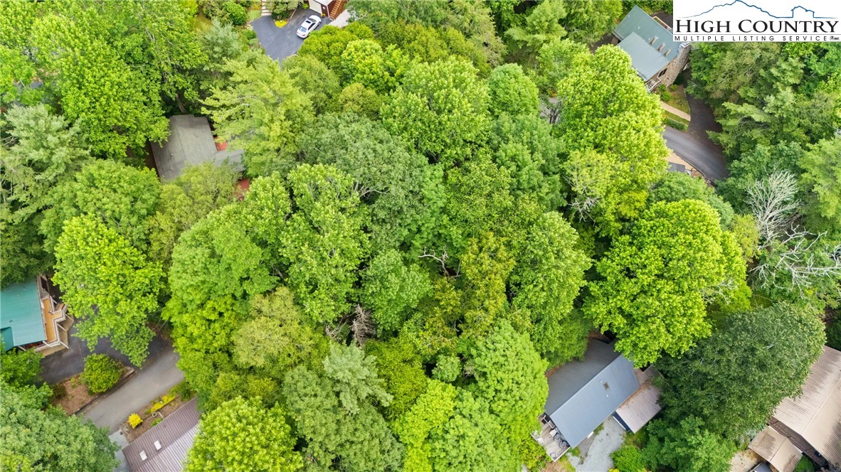 Image number 3 for the current listing