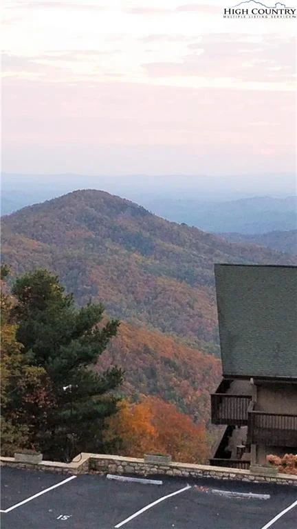 Image number 6 for the current listing