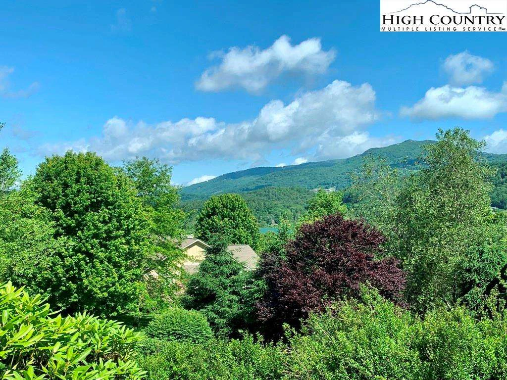 Image number 8 for the current listing