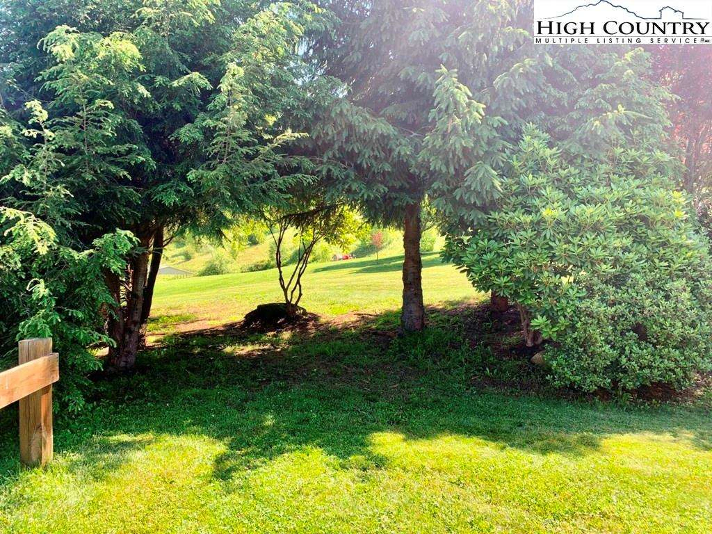 Image number 4 for the current listing