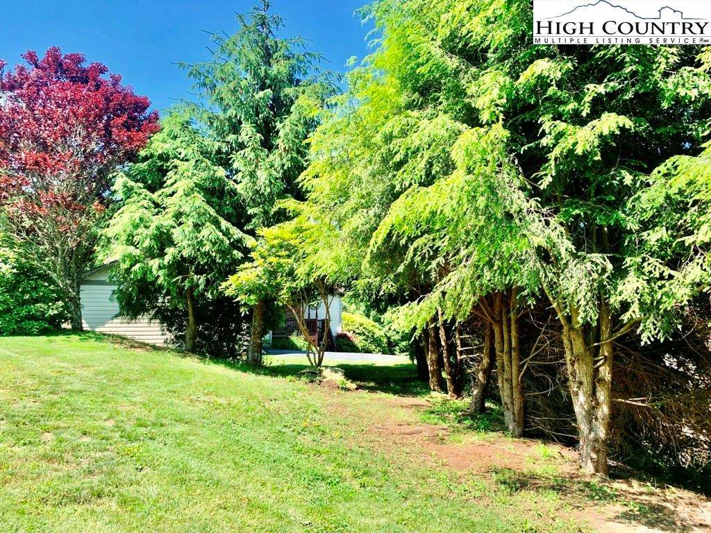 Image number 3 for the current listing