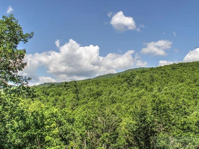 Image number 11 for the current listing