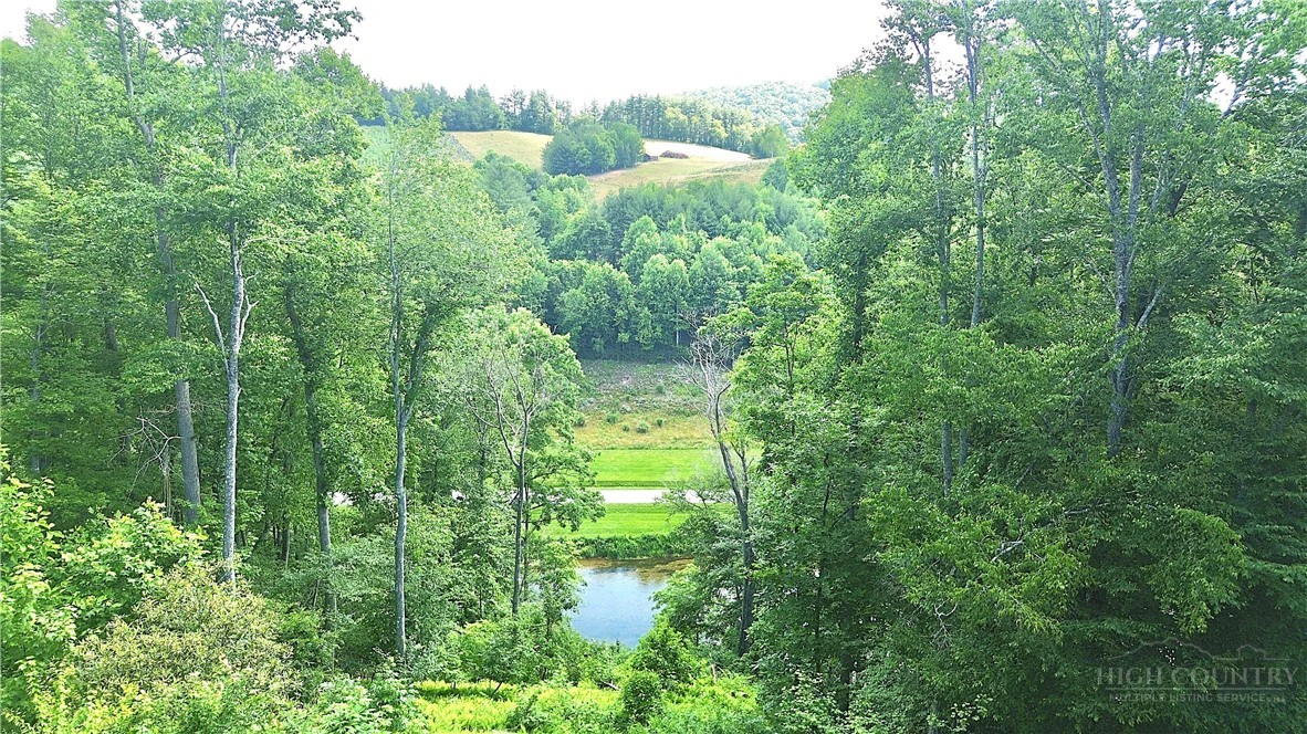Image number 4 for the current listing
