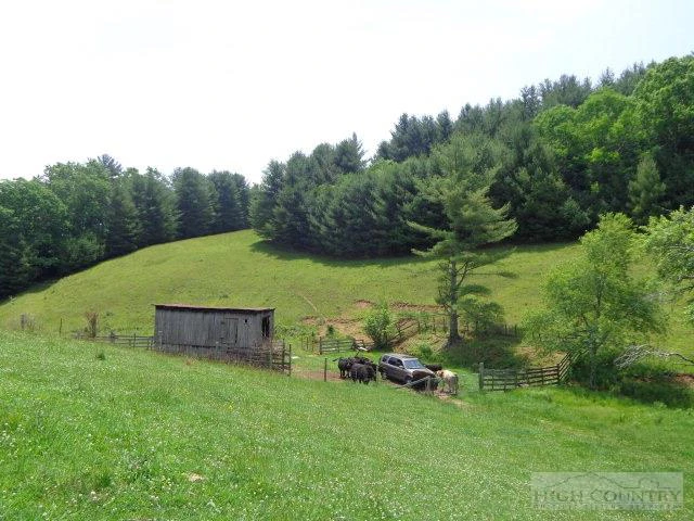 Image number 17 for the current listing
