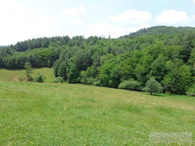 Image number 15 for the current listing