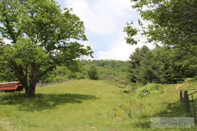 Image number 2 for the current listing