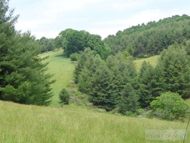 Image number 14 for the current listing