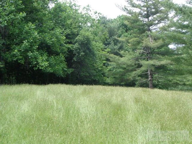 Image number 13 for the current listing