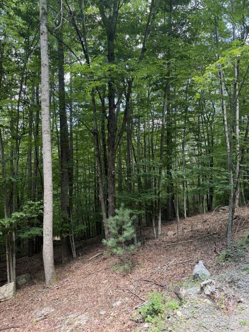 Image number 1 for the current listing