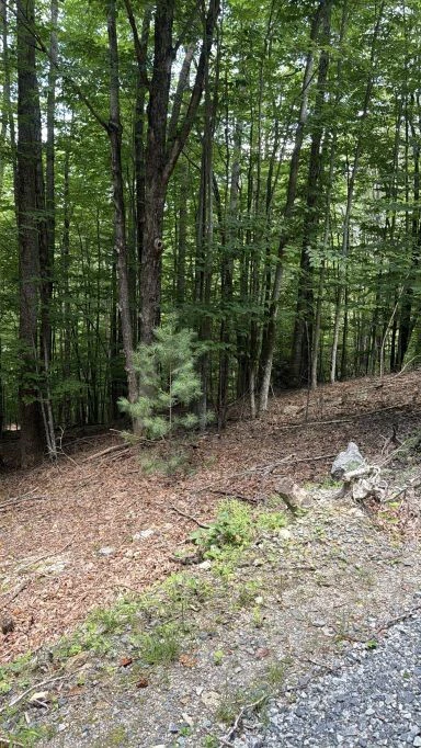 Image number 3 for the current listing