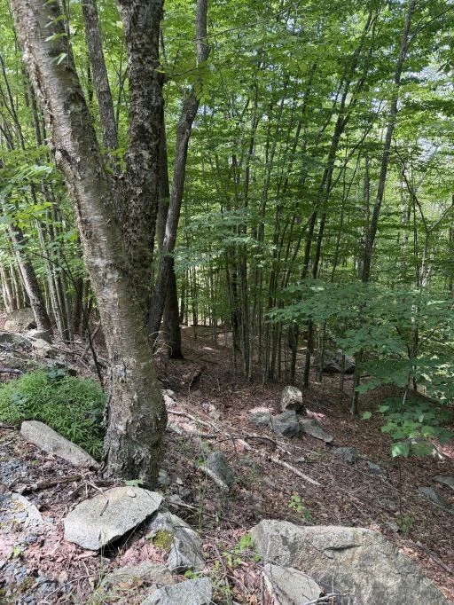 Image number 4 for the current listing