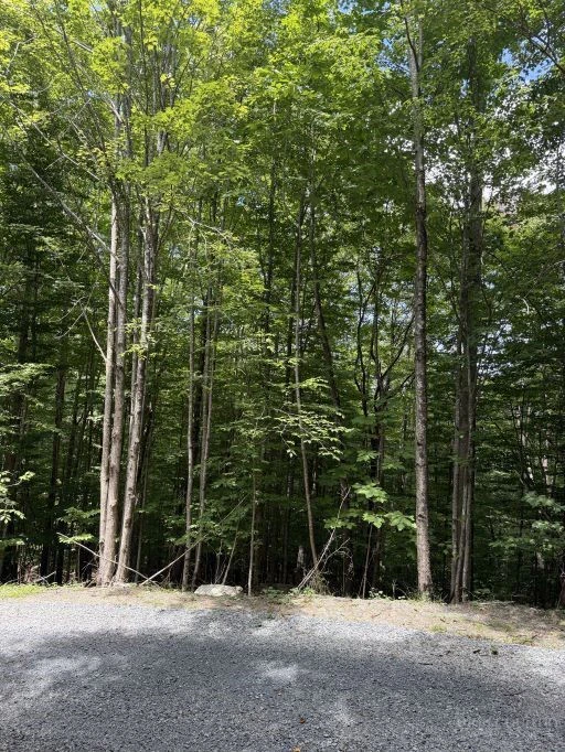 Image number 5 for the current listing