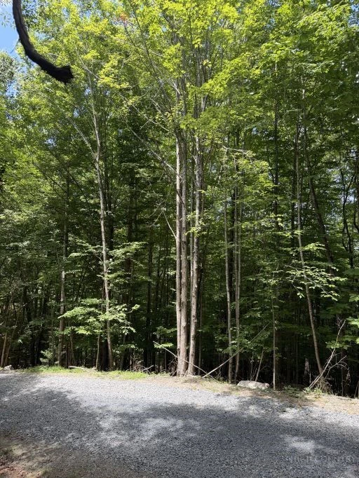 Image number 6 for the current listing