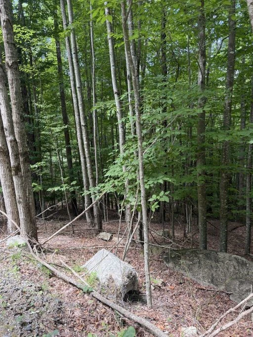 Image number 7 for the current listing
