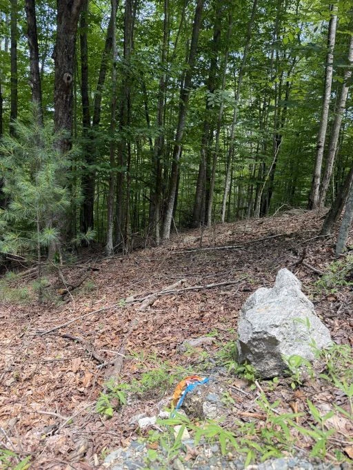 Image number 9 for the current listing