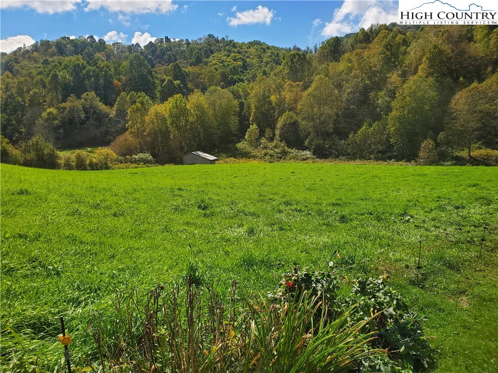 Image number 9 for the current listing