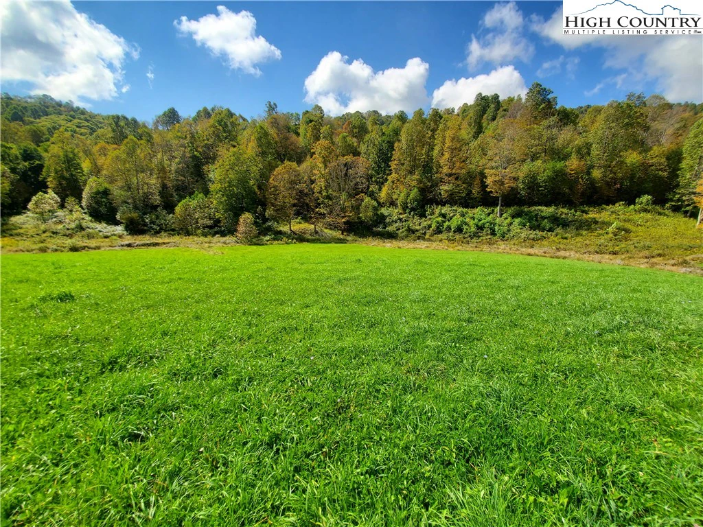 Image number 11 for the current listing