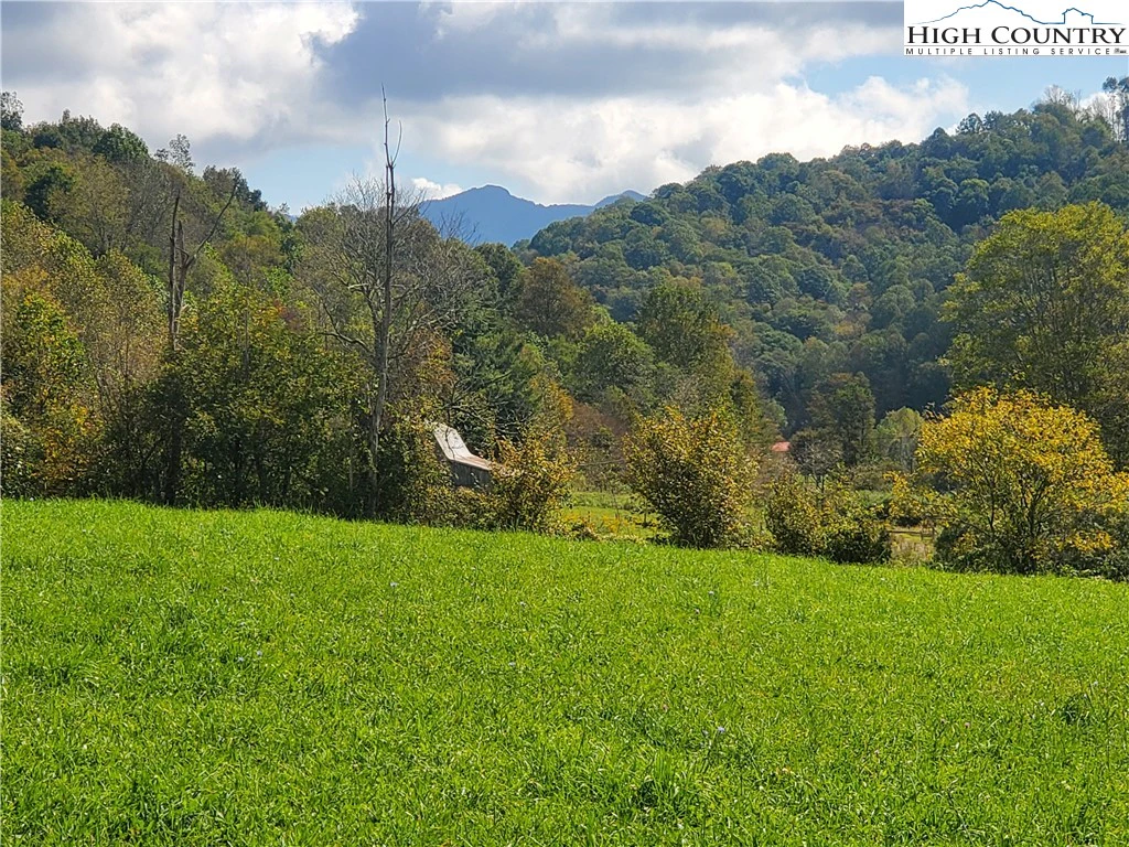 Image number 13 for the current listing