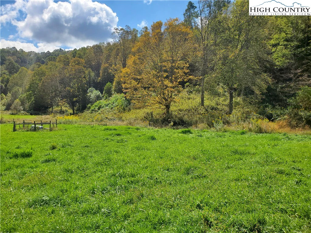 Image number 14 for the current listing