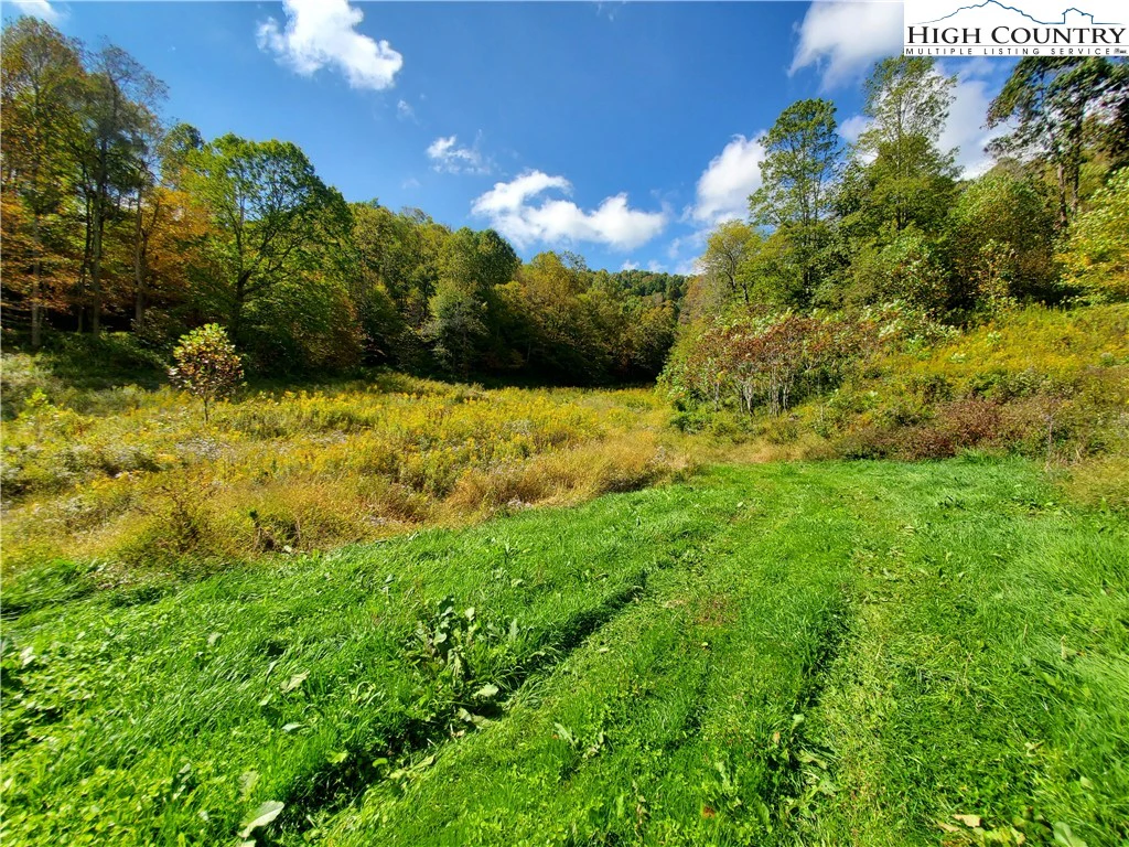 Image number 15 for the current listing