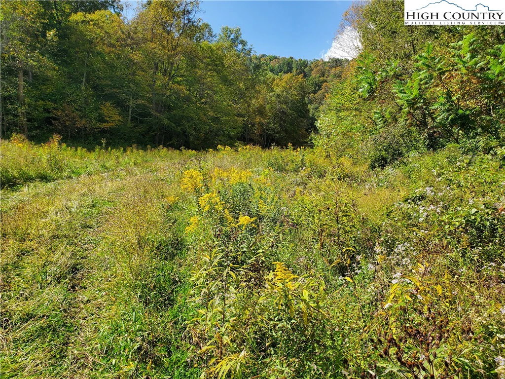 Image number 19 for the current listing