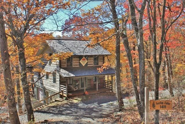 Image number 1 for the current listing