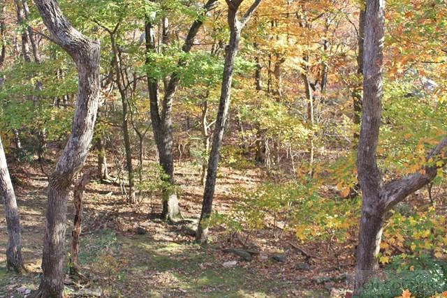 Image number 7 for the current listing