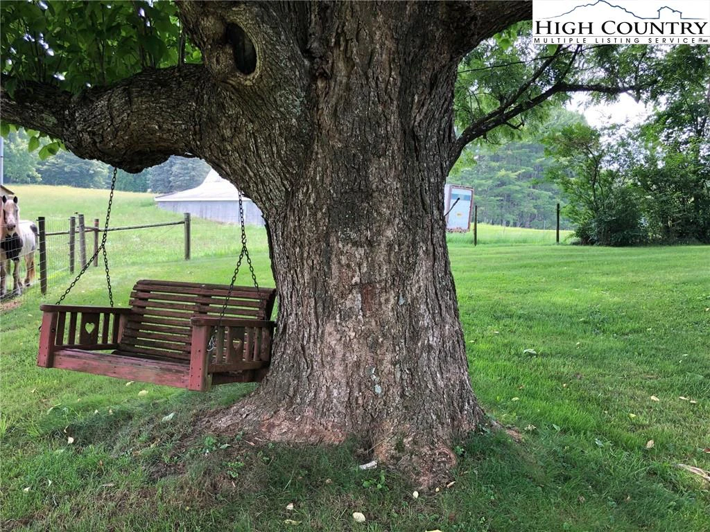 Image number 8 for the current listing