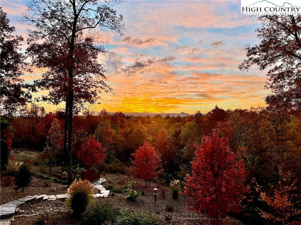 Image number 3 for the current listing