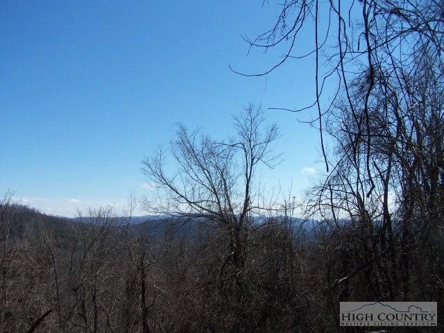 Image number 21 for the current listing
