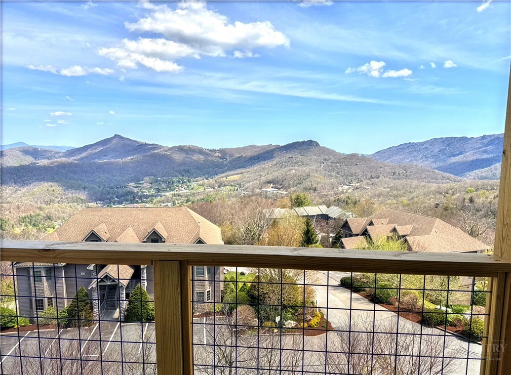 Image number 4 for the current listing