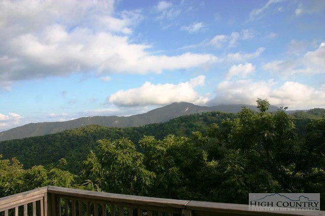 Image number 17 for the current listing