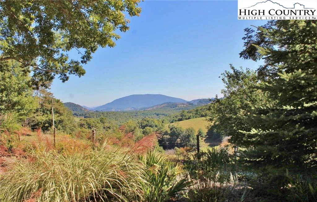 Image number 11 for the current listing