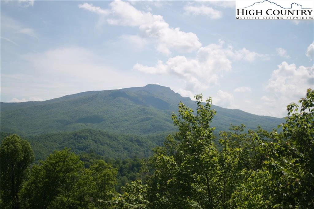 Image number 1 for the current listing