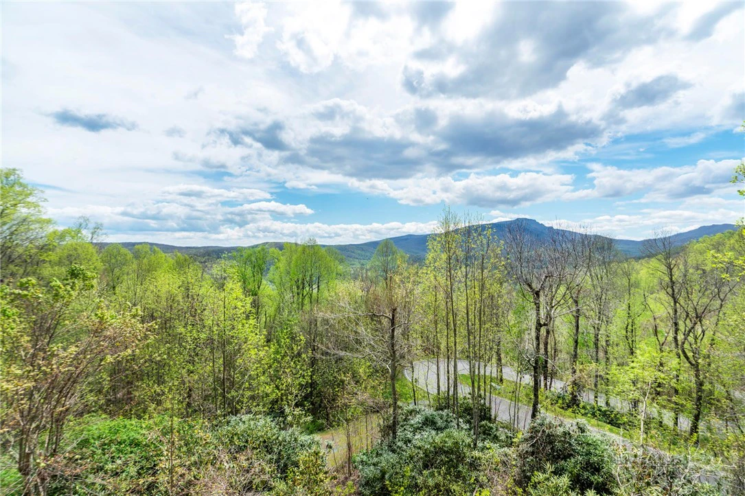 Image number 8 for the current listing