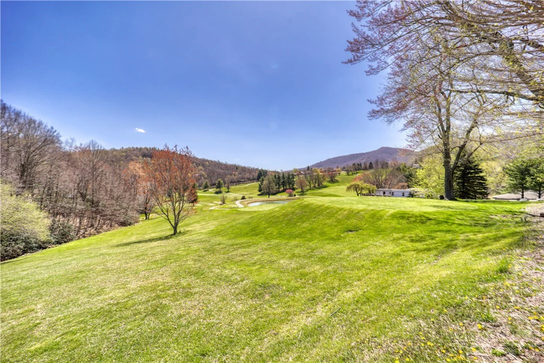 Image number 19 for the current listing