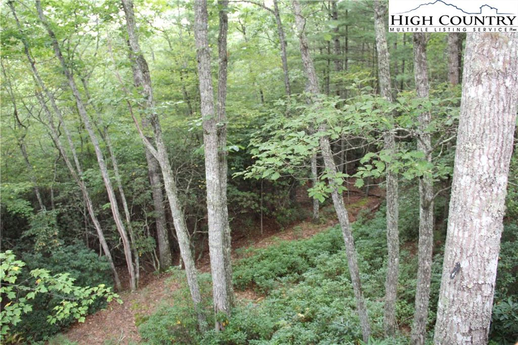 Image number 7 for the current listing