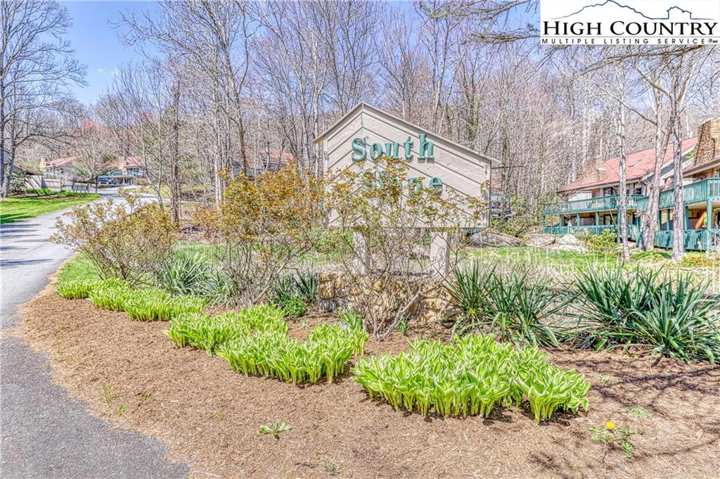 Image number 4 for the current listing