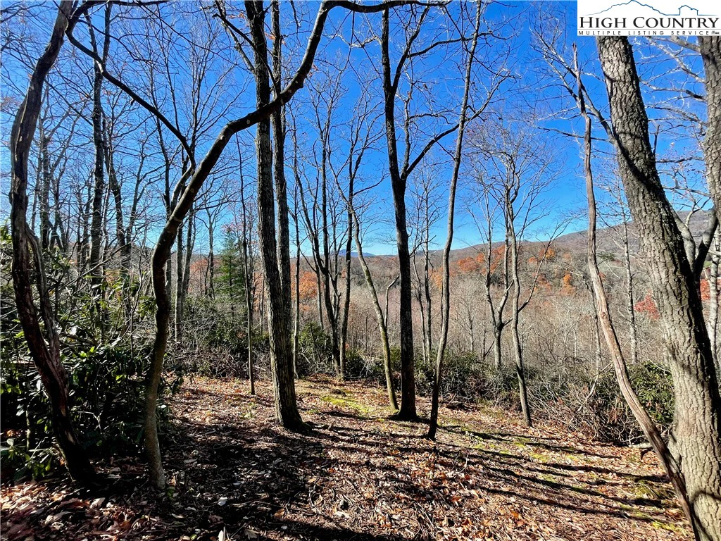 Image number 11 for the current listing