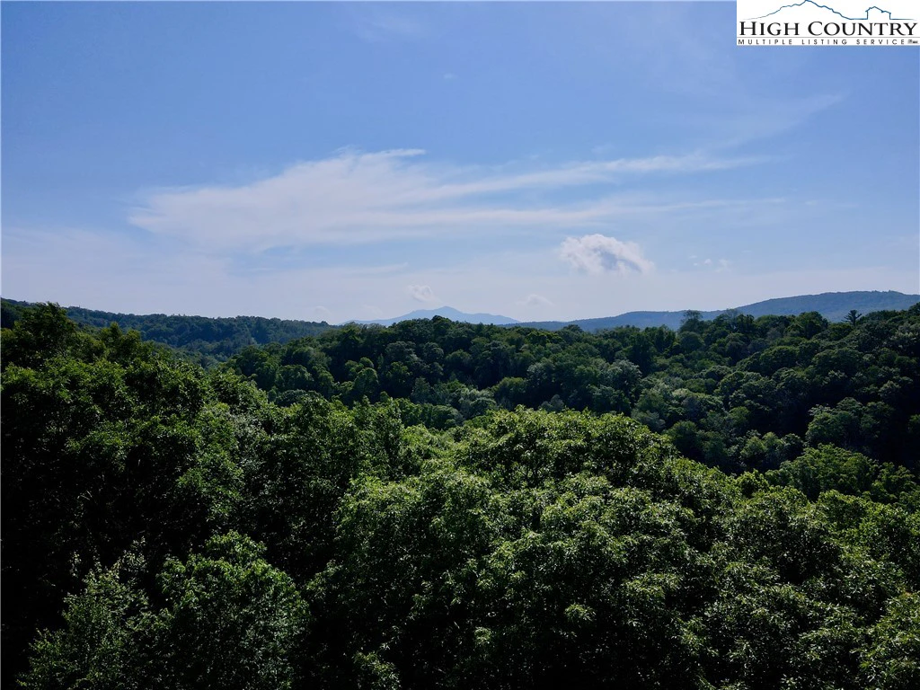 Image number 1 for the current listing