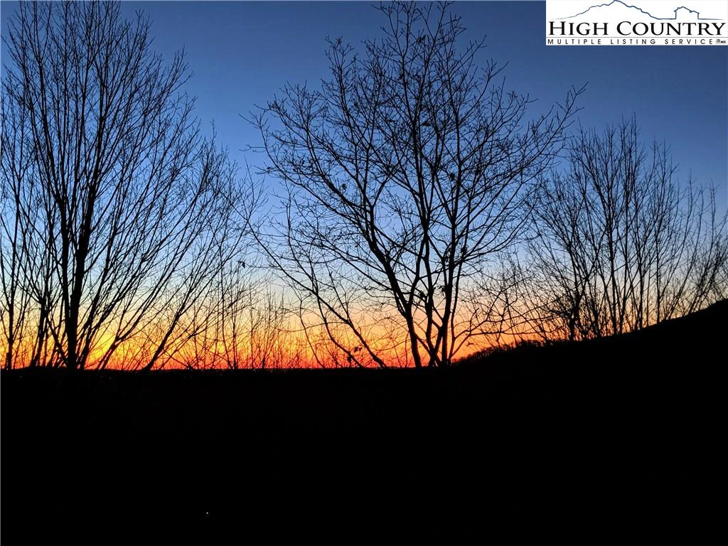 Image number 4 for the current listing