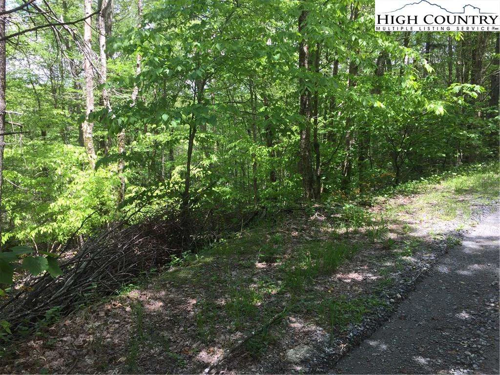 Image number 3 for the current listing