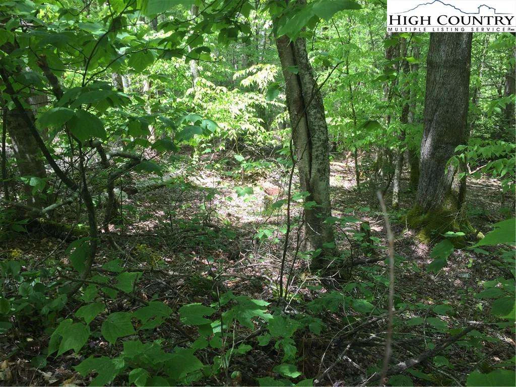 Image number 5 for the current listing