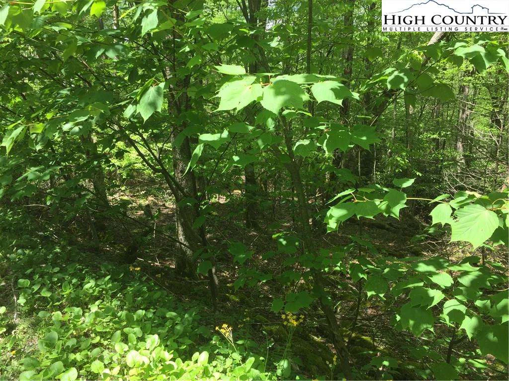 Image number 6 for the current listing