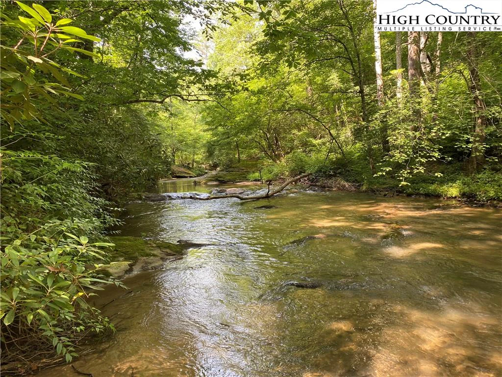 Image number 2 for the current listing